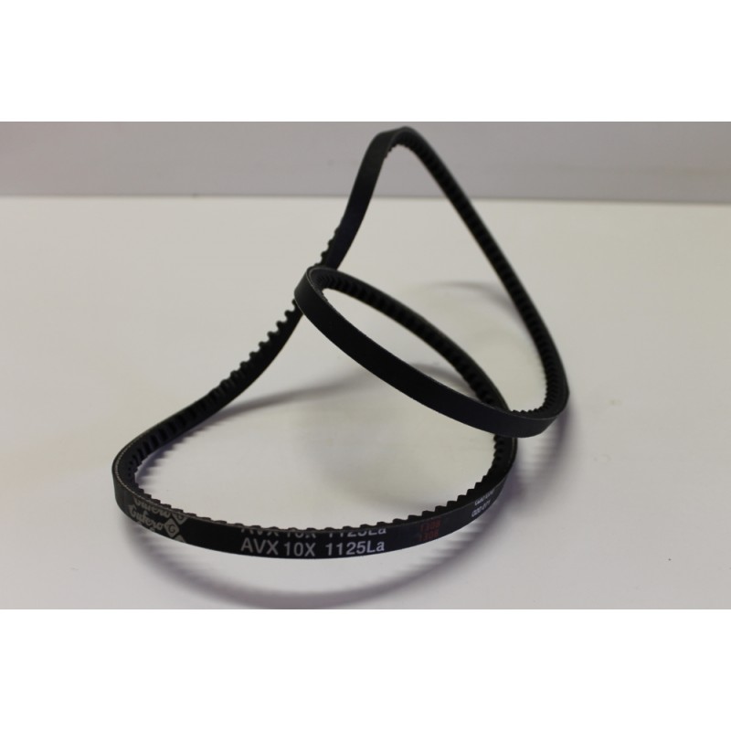 zetor-v-belt-53013904