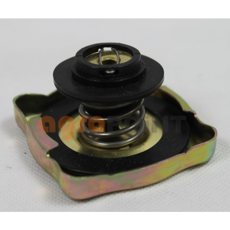 Zetor UR1 Plug Lid Radiator 972501 84013502 Spare Parts »Agrapoint