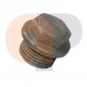 Zetor Engine oil plug 55010122 Parts » Agrapoint 