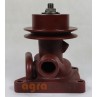 Zetor Water pump with pulley diameter 117 - turbo 79010625 79010615 71010615 Parts » Agrapoint 