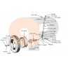 zetor-insurance-pad-953410